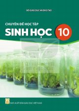 Sách giáo khoa Chuyên đề học tập Sinh học 10 - Kết nối tri thức 2026-2027